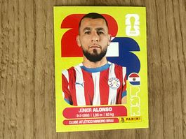 Panini FIFA World Cup Sticker Junior Alonso PAR 8