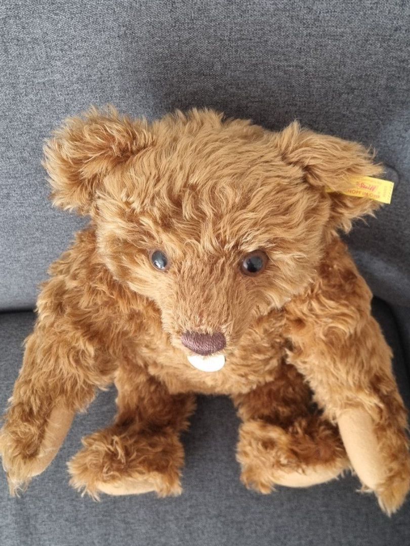 Steiff Giocattoli: Steiff Classic Teddybär, ca. 45cm – Usato da Lenzburg venduto da friedi5 5