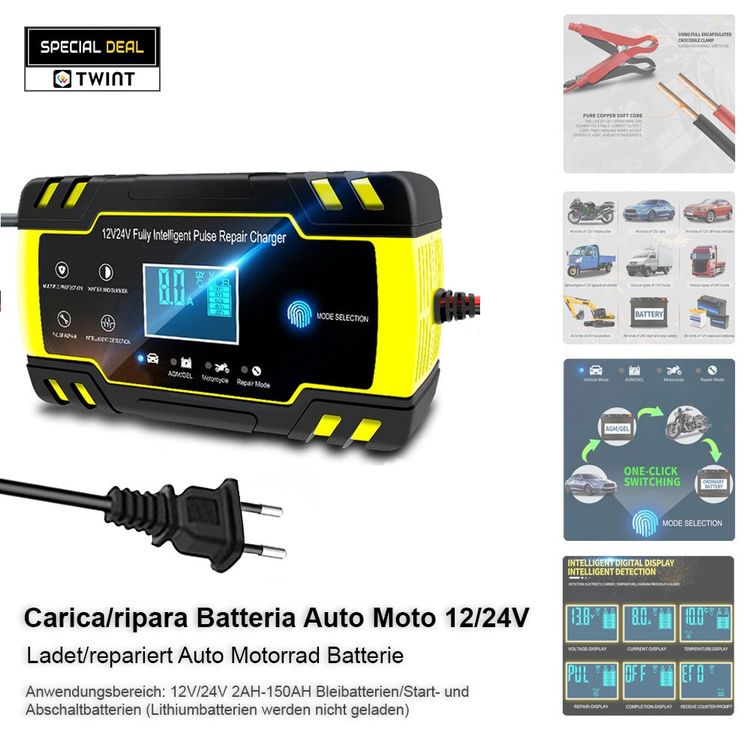 Auto Batterie Ladegerät LKW Motorrad 12V 24V Moto