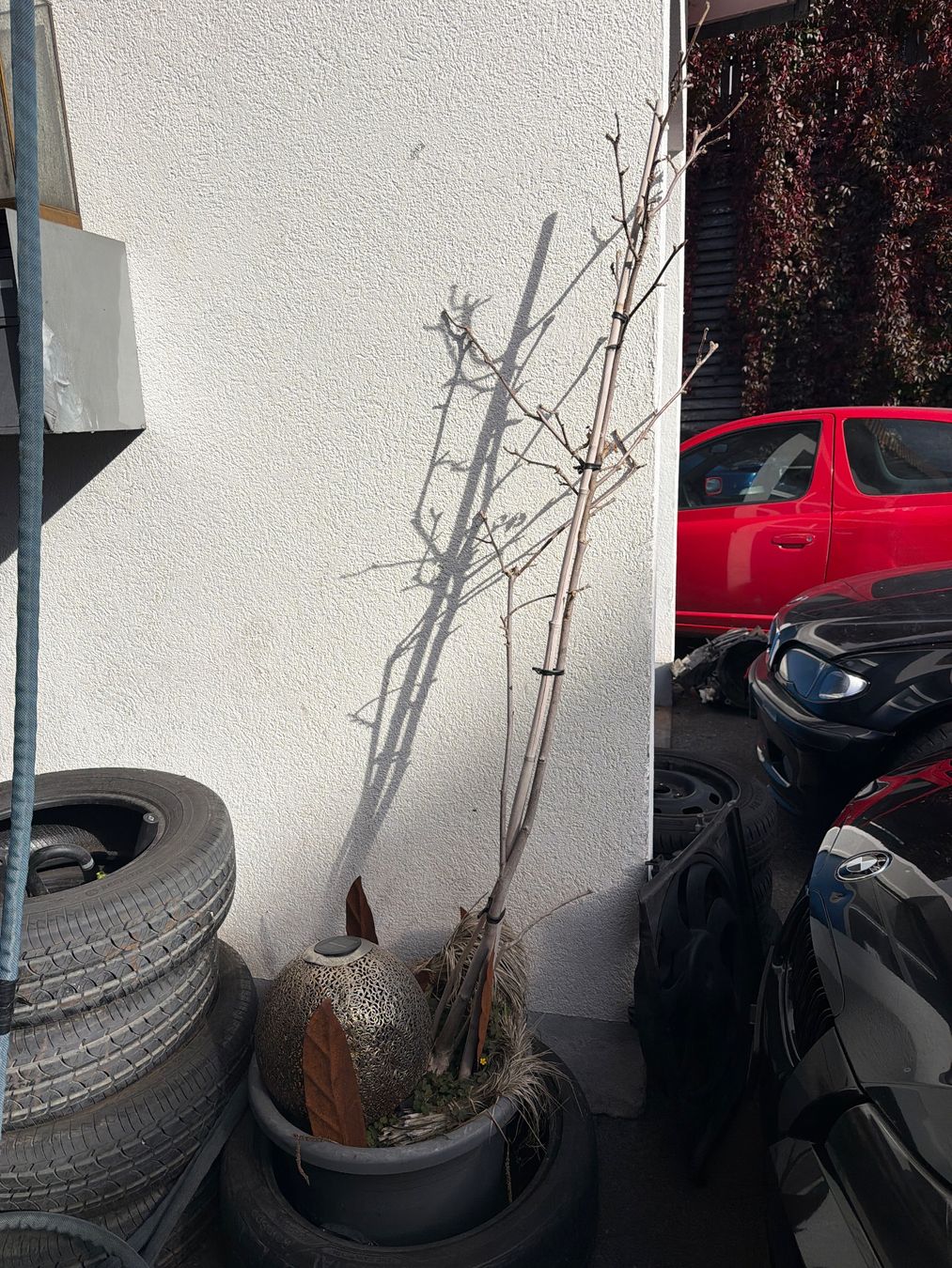 Blumentöpfe: Blumentopf mit Deko – Gebraucht aus Herisau von flo_28qp 1