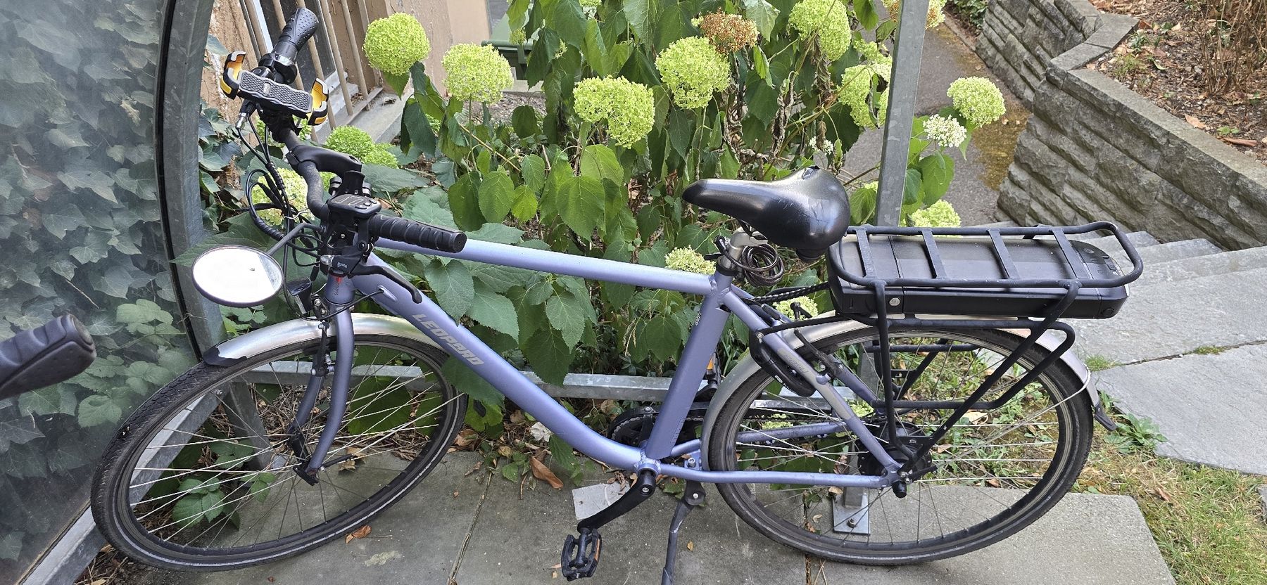 Leopard Biciclette: Leopard E-Bike EasyMan 28", 52 cm – Usato da Bern venduto da Fabiian12 1