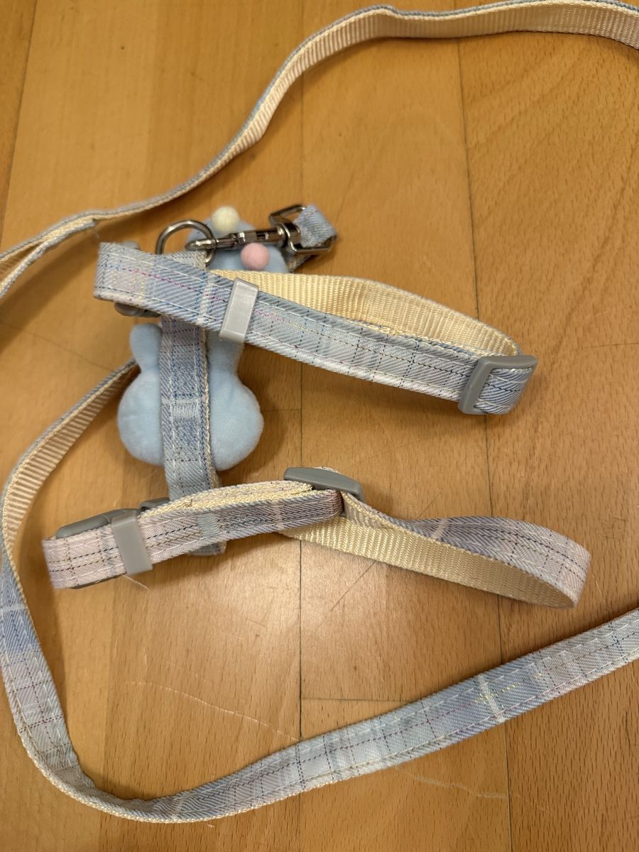 Guinzagli & Collari: Katzengeschirr pet leash new – Usato da Zürich venduto da arr_vq5w 1