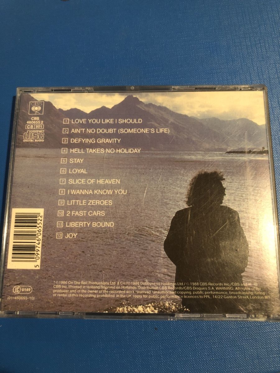 CDs: Dave Dobbyn CD – Gebraucht aus Flaach von rubo7 2
