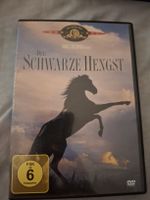 DVD Der schwarze Hengst FSK 6 MGM Film 