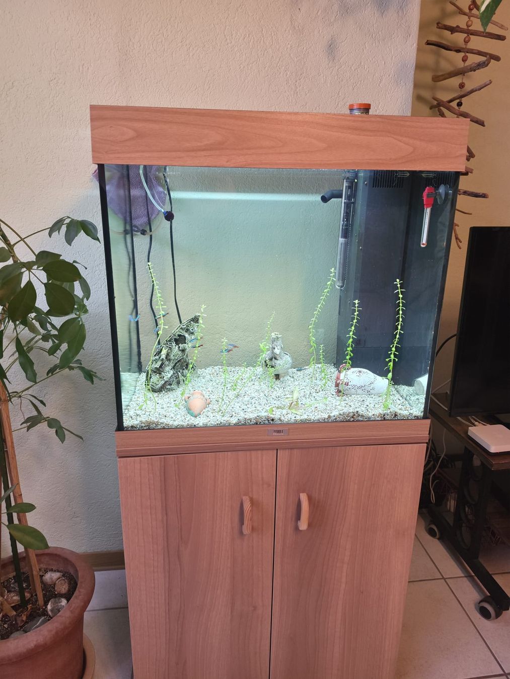 Juwel Aquarium: Aquarium – D'occasion à Weier im Emmental par Matthias079