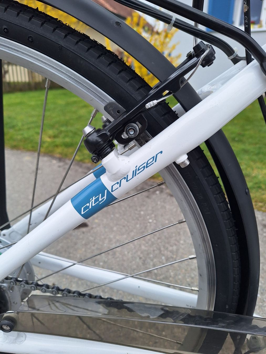 Leopard Velos: City E-Bike LEOPARD – Gebraucht aus Messen von Pfoesi 4