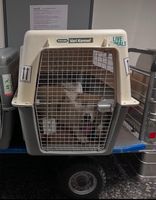 Transportbox Hund Vari Kennel 700 Giant