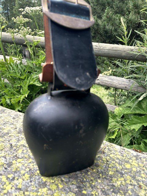 Glocken & Treicheln: +  TreiCheL / GLoCke  + – Gebraucht aus Winkel von zeho 1