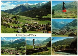 Château d'Oex - 6 Bild AK