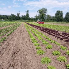 Profile image of Thurlandbio