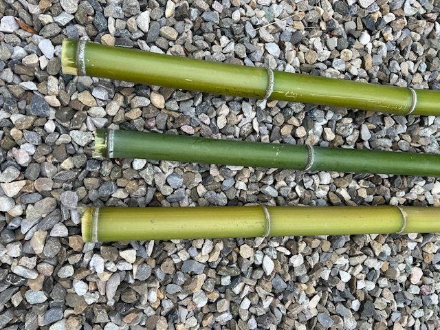Holzartikel: Bambus Rohre – Gebraucht aus Winznau von Rastaphon