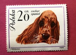 Briefmarken aus Polen Hunde UNGESTEMPELT