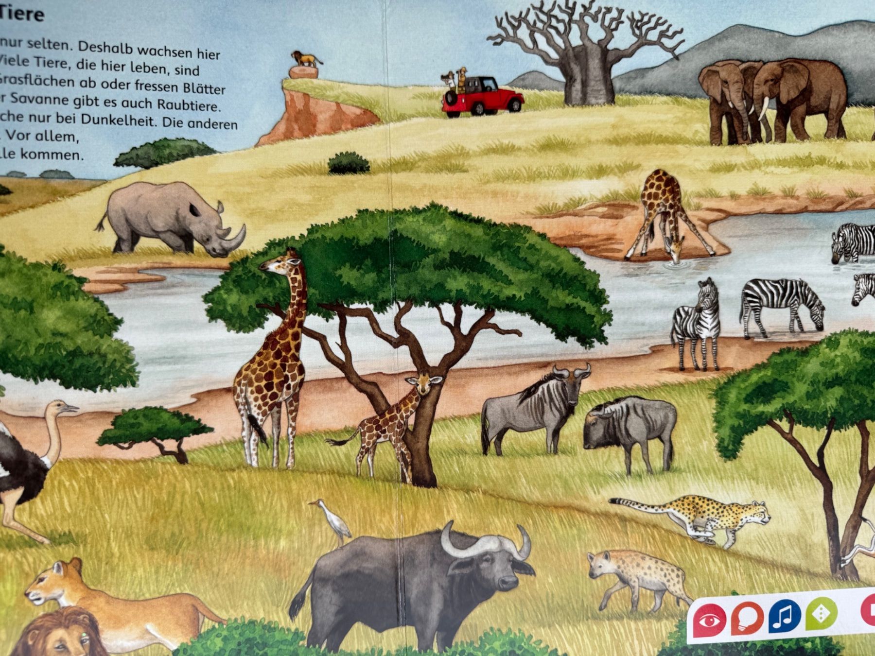 Libri: Tiptoi - Bilderlexikon Tiere – Usato da Aarau venduto da Kilauea 4