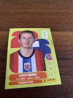 Panini NOR 11