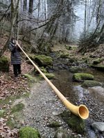 3-teiliges Alphorn in F (neuwertig)