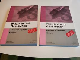 Wirtschaft und Gesellschaft umfassend reperiert