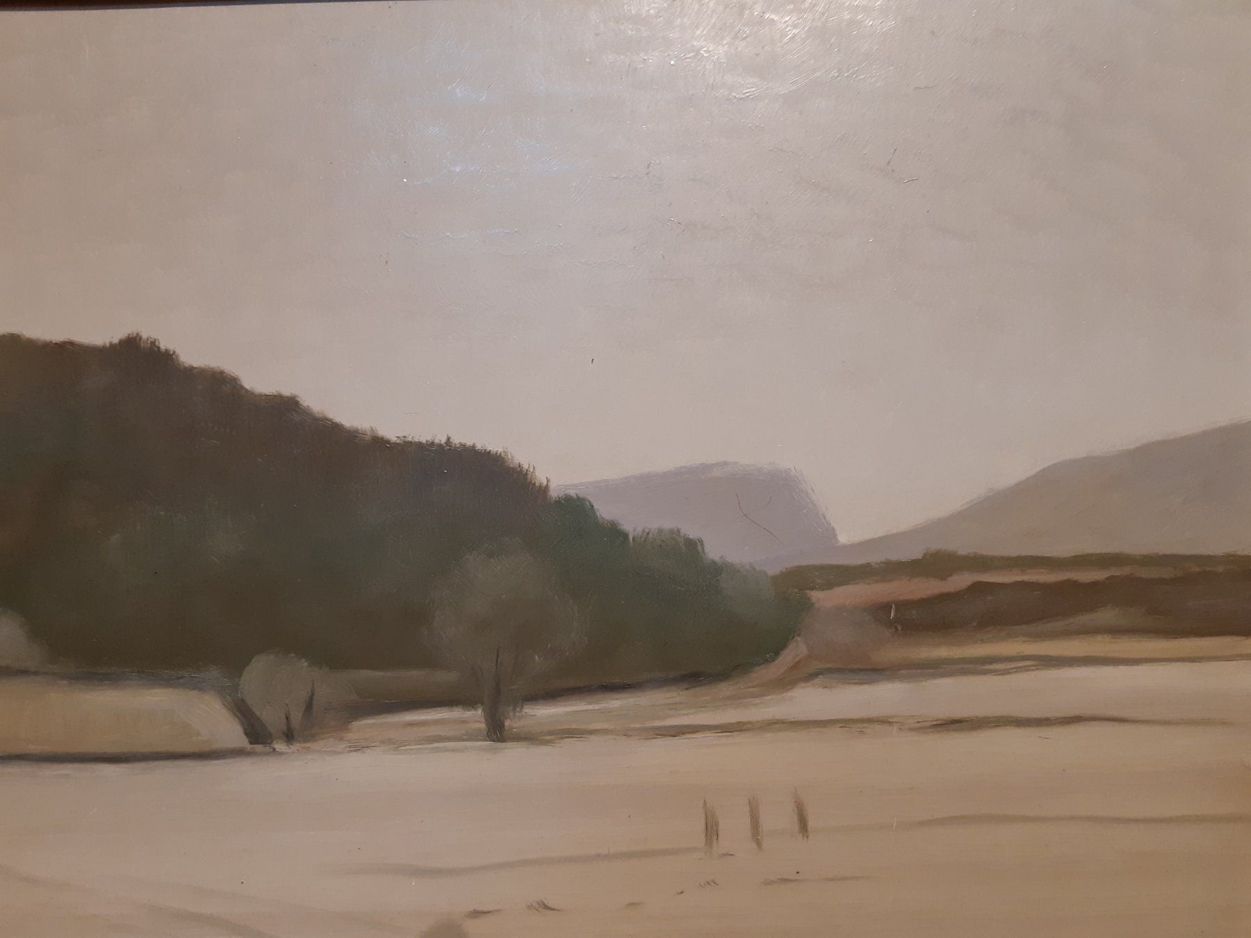 Dipinti: W. Eigenheer (1910-2002) beau paysage vs – Usato da Lausanne venduto da leneko 3