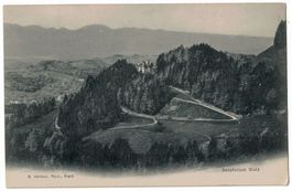 Sanatorium Wald, Lichtbild gelaufen 1905