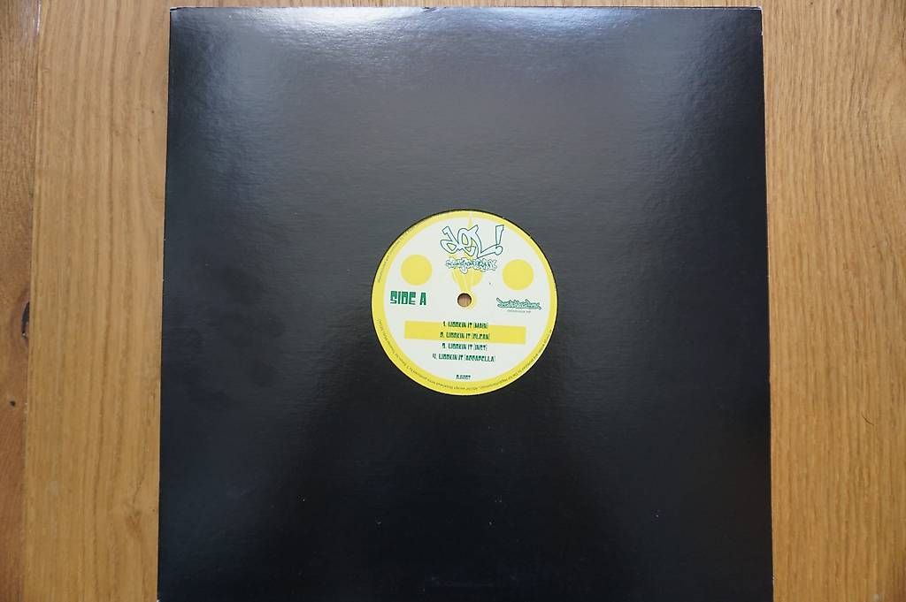 Schallplatten: Del The Funky Homosapien "Workin It" 12" – Gebraucht aus Biel/Bienne von sli_679k