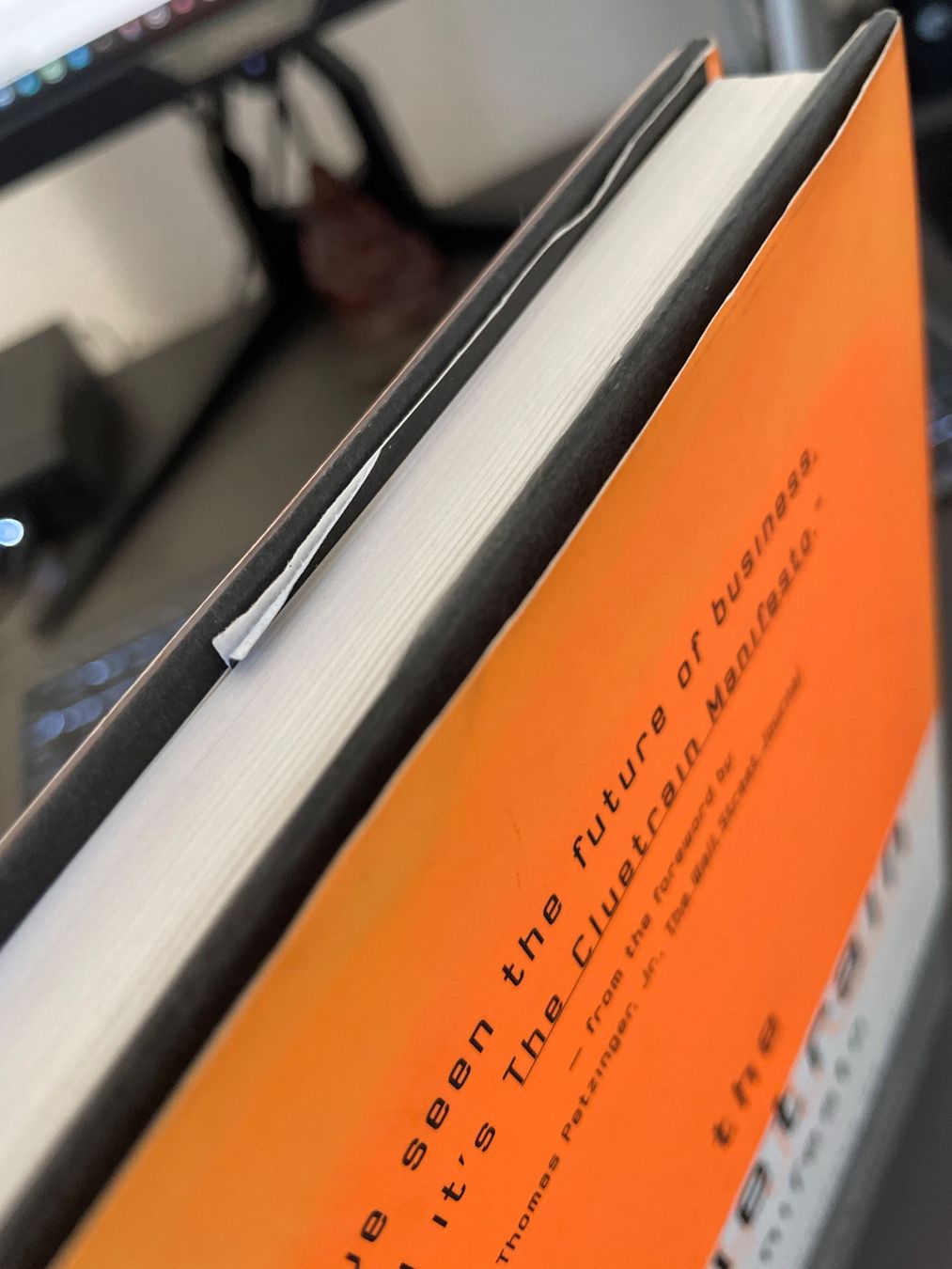 Libri: The Cluetrain Manifesto – Usato da Genève venduto da Haciend4 6