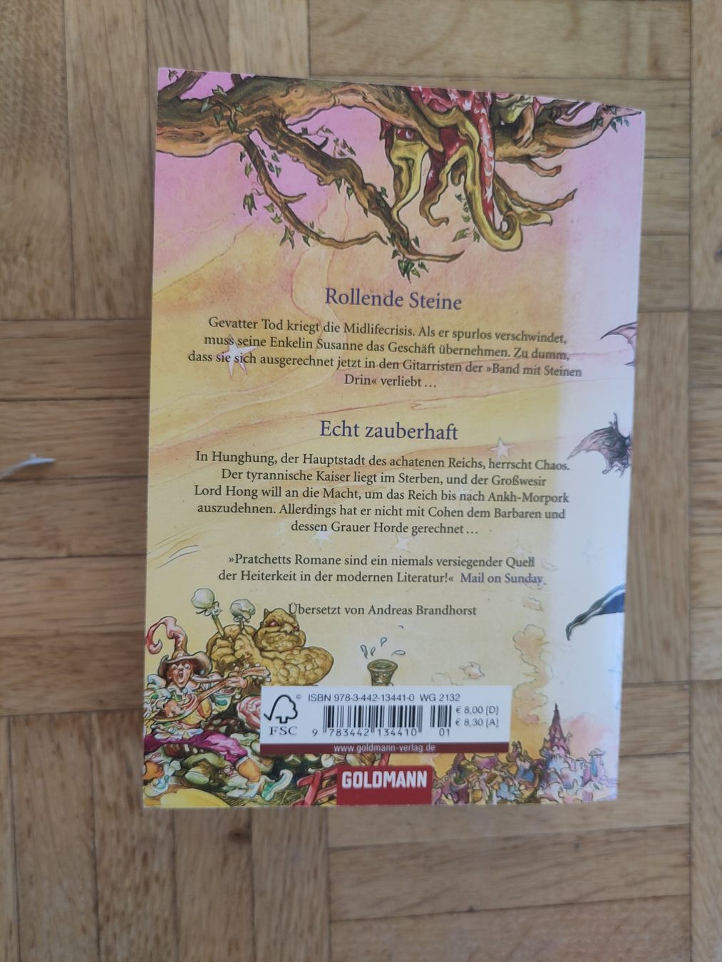 Libri: Rollende Steine & Echt zauberhaft, Terry Pratchett – Usato da Zürich venduto da lb_z58n 1