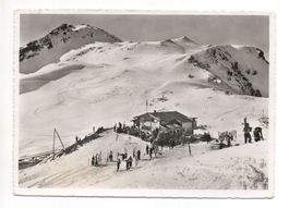 AROSA Weisshorn Sattelhütte - Ski-Läufer