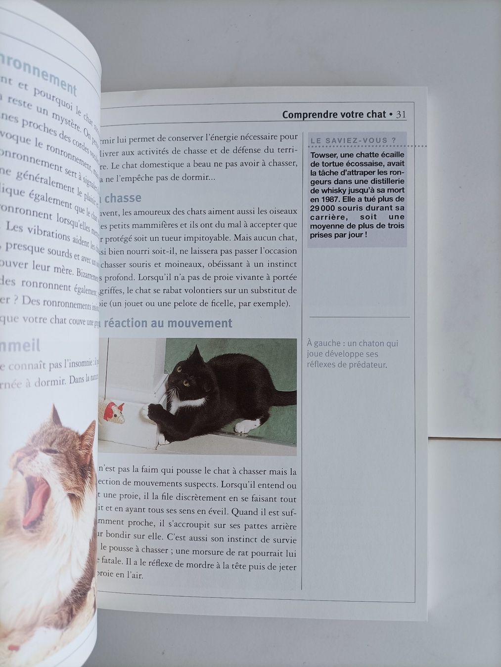 Bücher: Le guide du chat / Angela Gair / Marabout 2001 – Gebraucht aus crans montana von AB3963 3