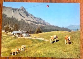Col du Pillon gel. 1968, Seilbahn, Passstempel