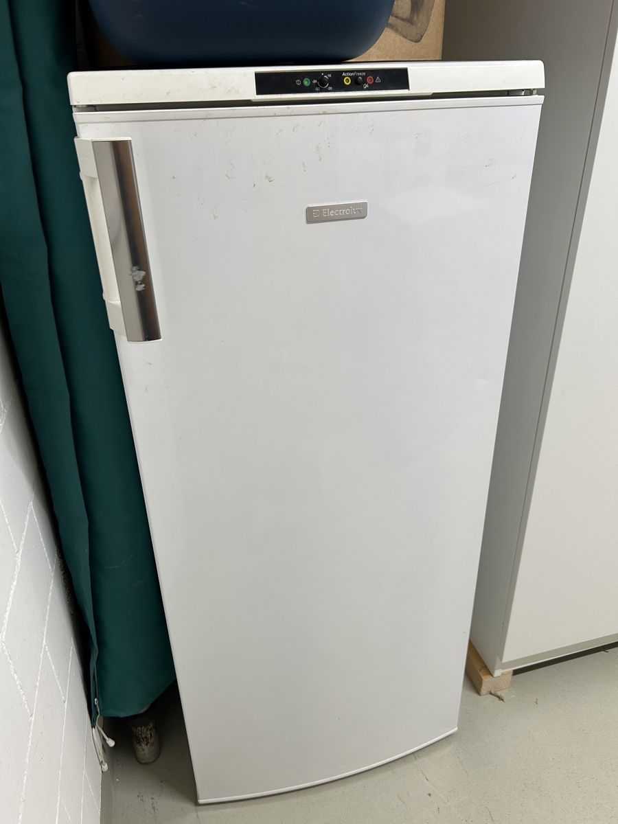 Congelatori: Electrolux EUF1900FW - Gefrierschrank – Usato da Bözen venduto da obi92