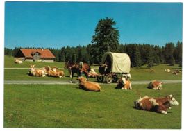 AK Franches Montagnes Pittoresque 1983