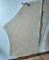 Fossile Fische "Fischli Flinz" Solnhofen D ca 70 Stück!!!