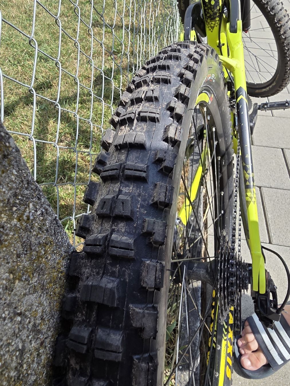 Bergamont Biciclette: Bergamont Encore 8.0 Grösse M – Usato da Chur venduto da Qchen297 7