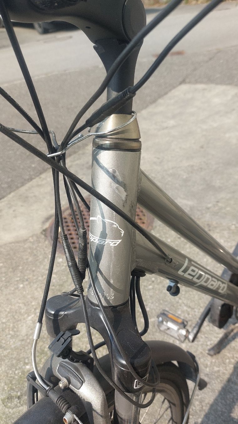 Leopard Velos: Leopard Elektro Velo gebraucht   – Gebraucht aus Solothurn von ewerus 4