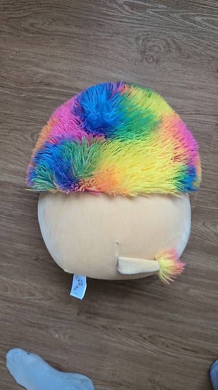 Giocattoli: Squishmallow Leonard the Lion – Usato da Romanshorn venduto da Heinz_ketchup 1
