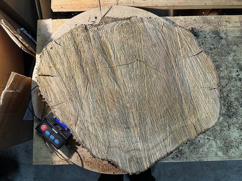 Articles en bois: Olivenholz Baumscheibe G5 – D'occasion à Buus par macipioji 1