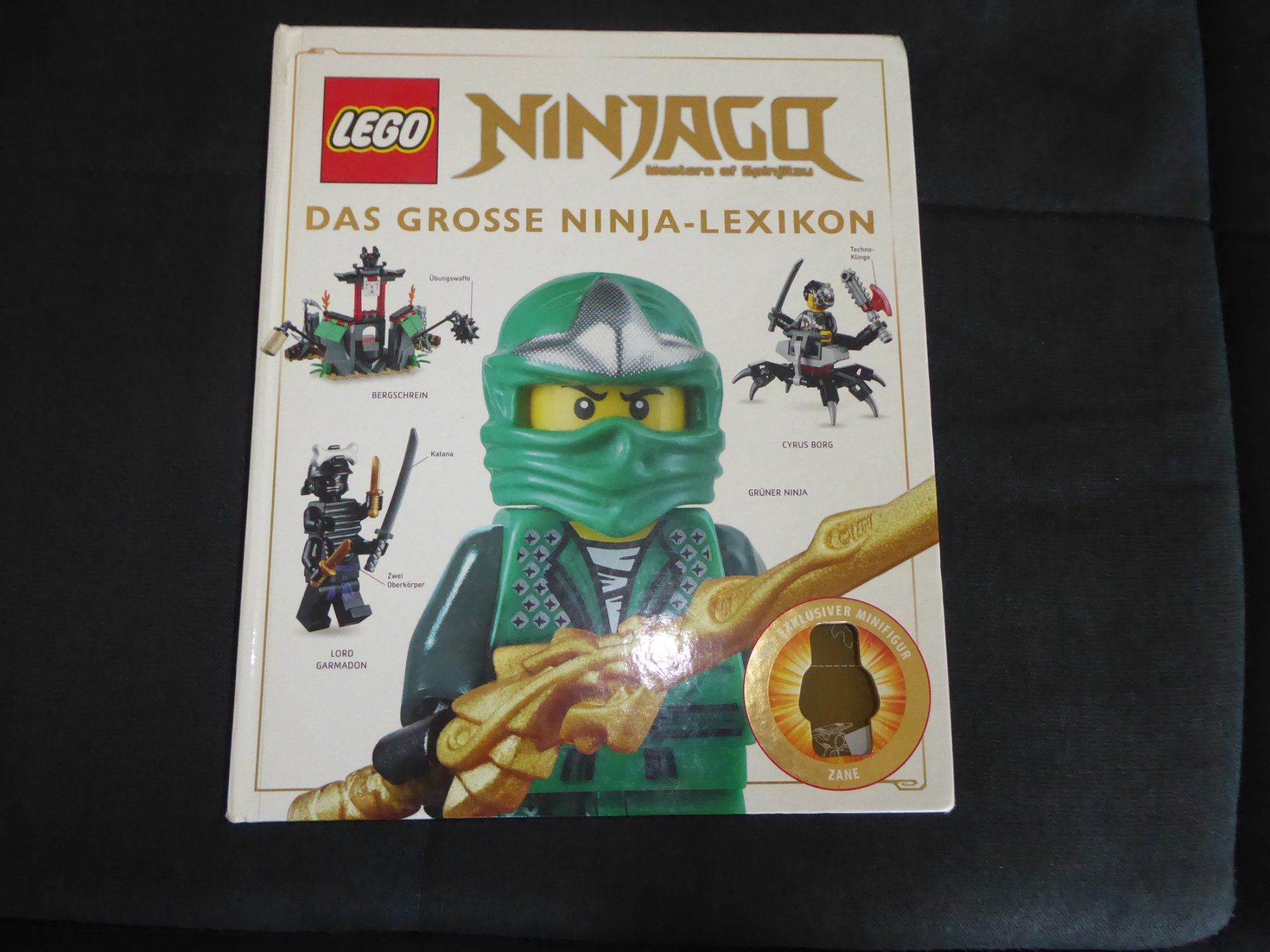 Livres: Ninjago das grosse Ninja-Lexikon – D'occasion à Frauenfeld par CymonHardy