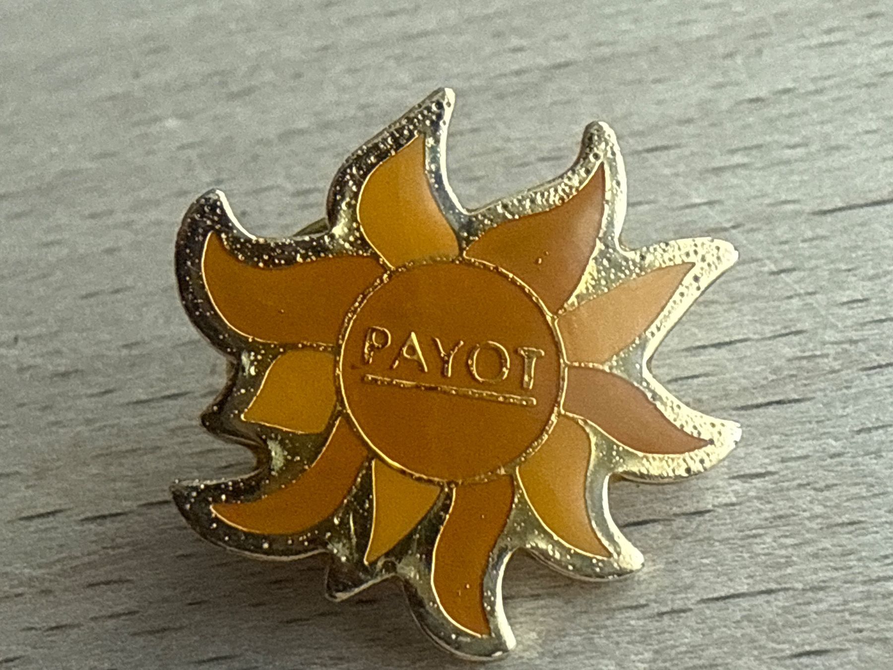Plaketten & Abzeichen: Pin PAYOT – Gebraucht aus Glattbrugg von Schweigmatt
