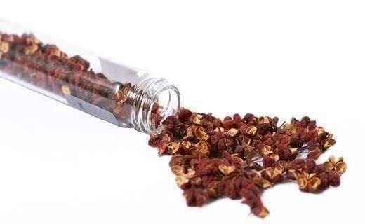 Piante & sementi: Zanthoxylum SIMULANS / Poivre du Sichuan PLANT – Nuovo e nell'imballaggio originale da Bremblens venduto da FIBONACCI369 2