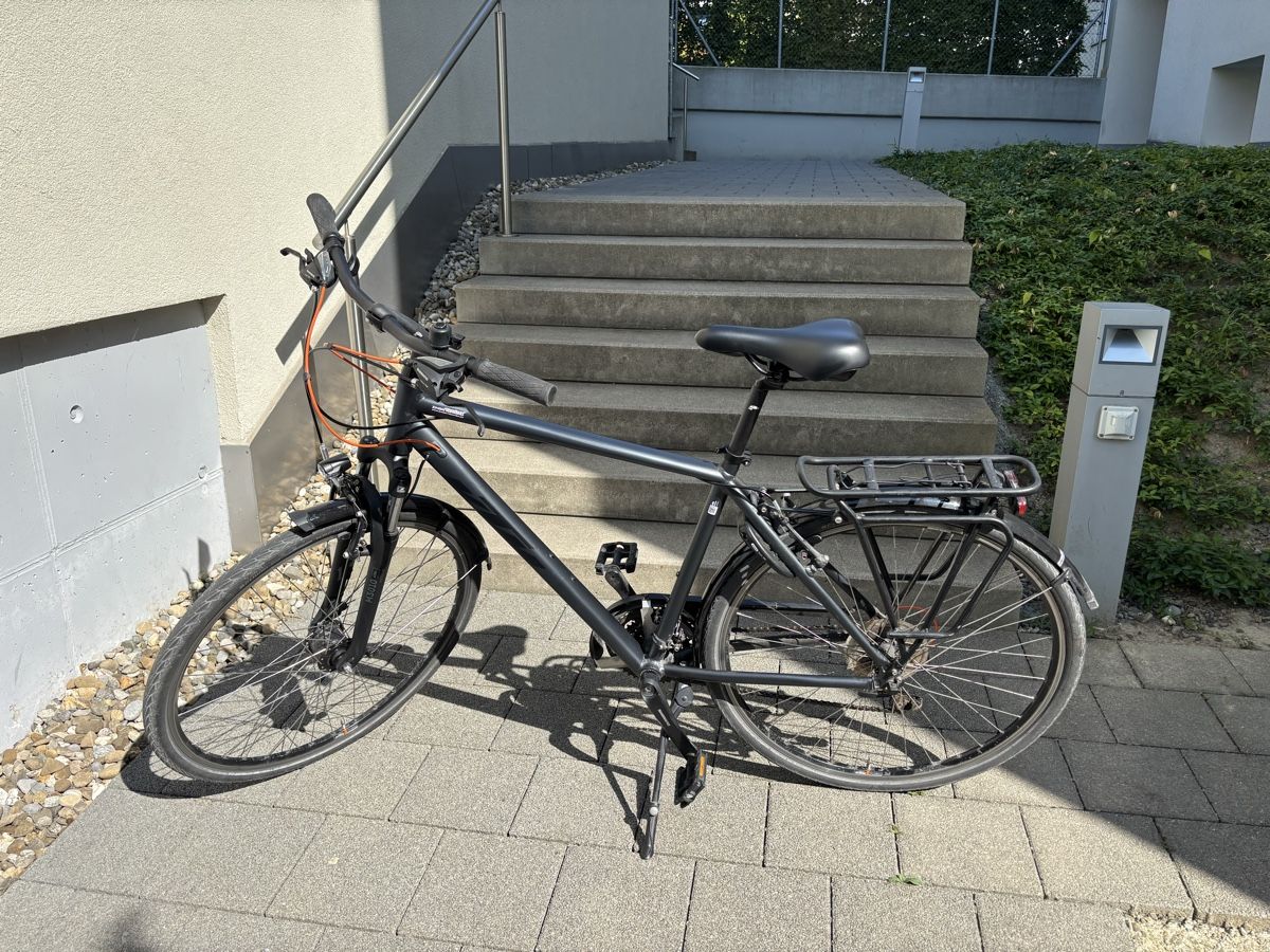 KTM Biciclette: KTM, Life Joy, L, Grau – Difettoso da Root venduto da Sportsman03 2