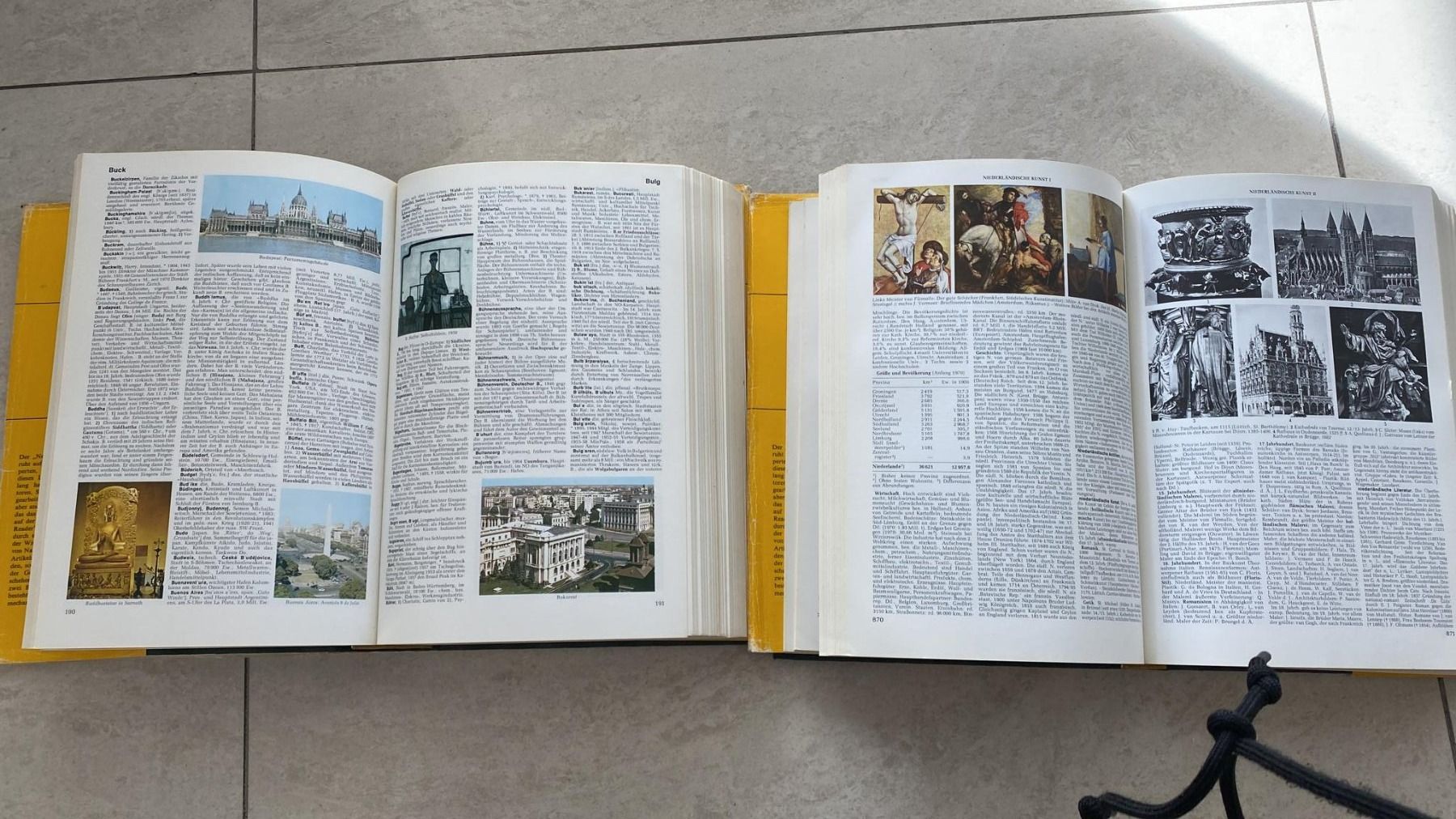 Libri: Brock Haus Enzyklopädie – Usato da Dagmersellen venduto da Arcticsnow2017 5