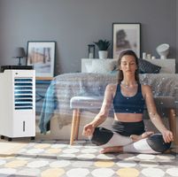 Arebos 4in1 Aircooler
