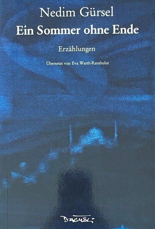 Bücher: Gürsel Nedim, Ein Sommer ohne Ende – Neu (gemäss Beschreibung) aus Sarnen von Livres