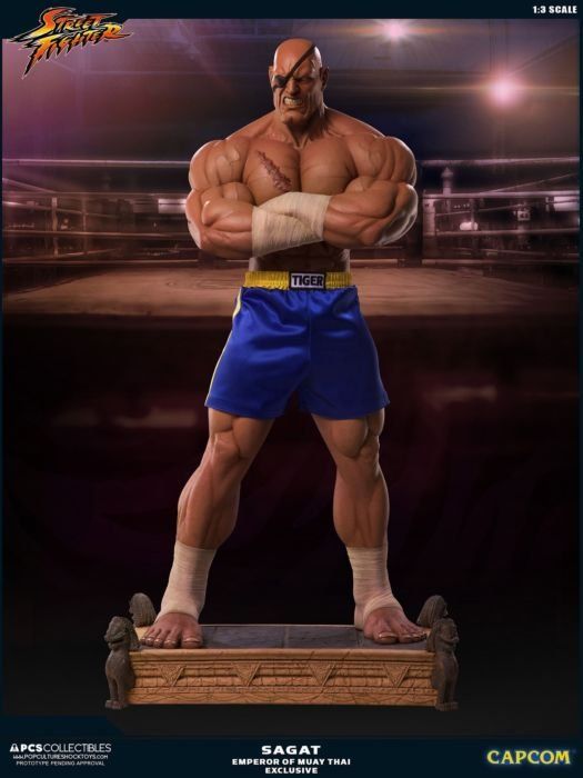 Statuette: Street Fighter Sagat – Usato da Niederrohrdorf venduto da elwey 3