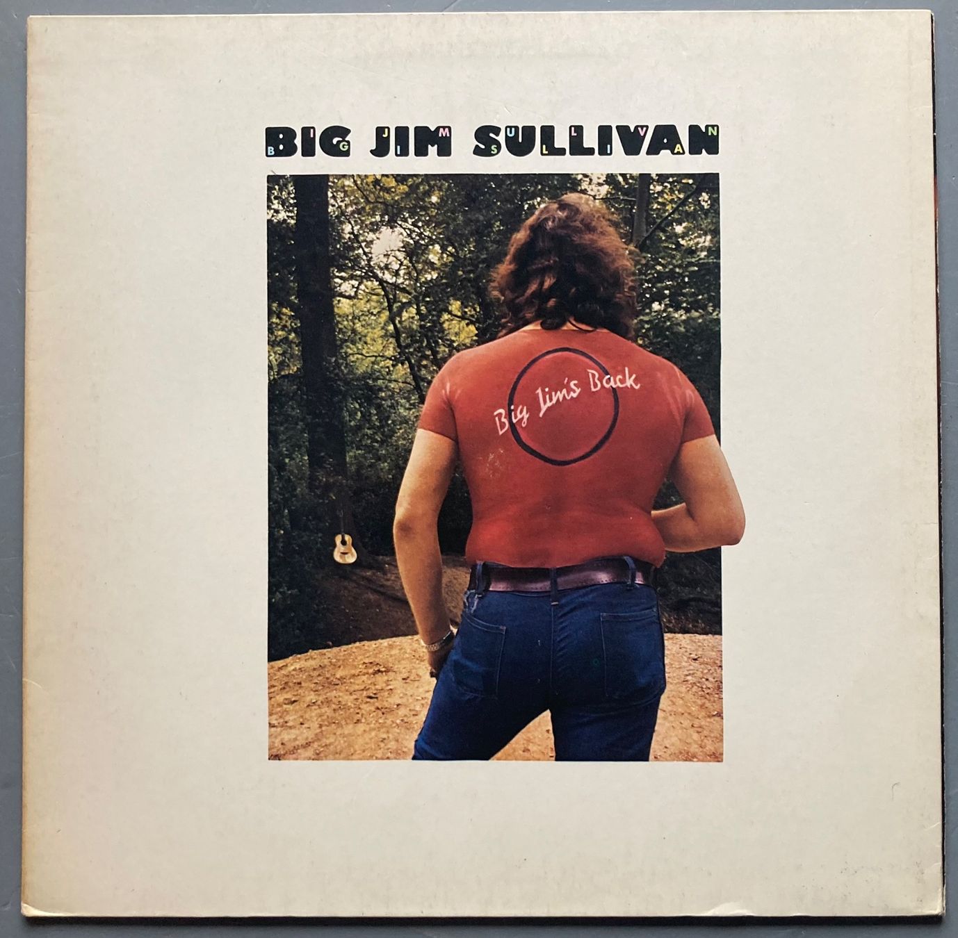 Dischi in vinile: BIG JIM SULLIVAN - BIG JI'MS BACK – Usato da Poliez-Pittet venduto da Newtown-Records