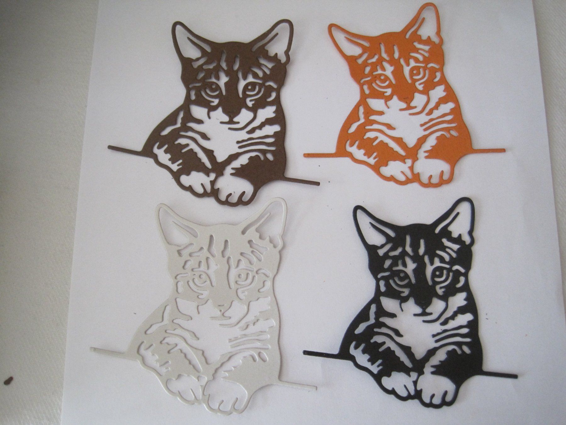Carta: Stanz-Papier Motive versch. Katzen – Nuovo e nell'imballaggio originale da Schachen LU venduto da moepsli5