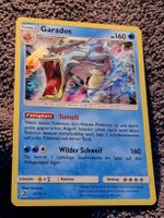 Pokemon Garados 20/70