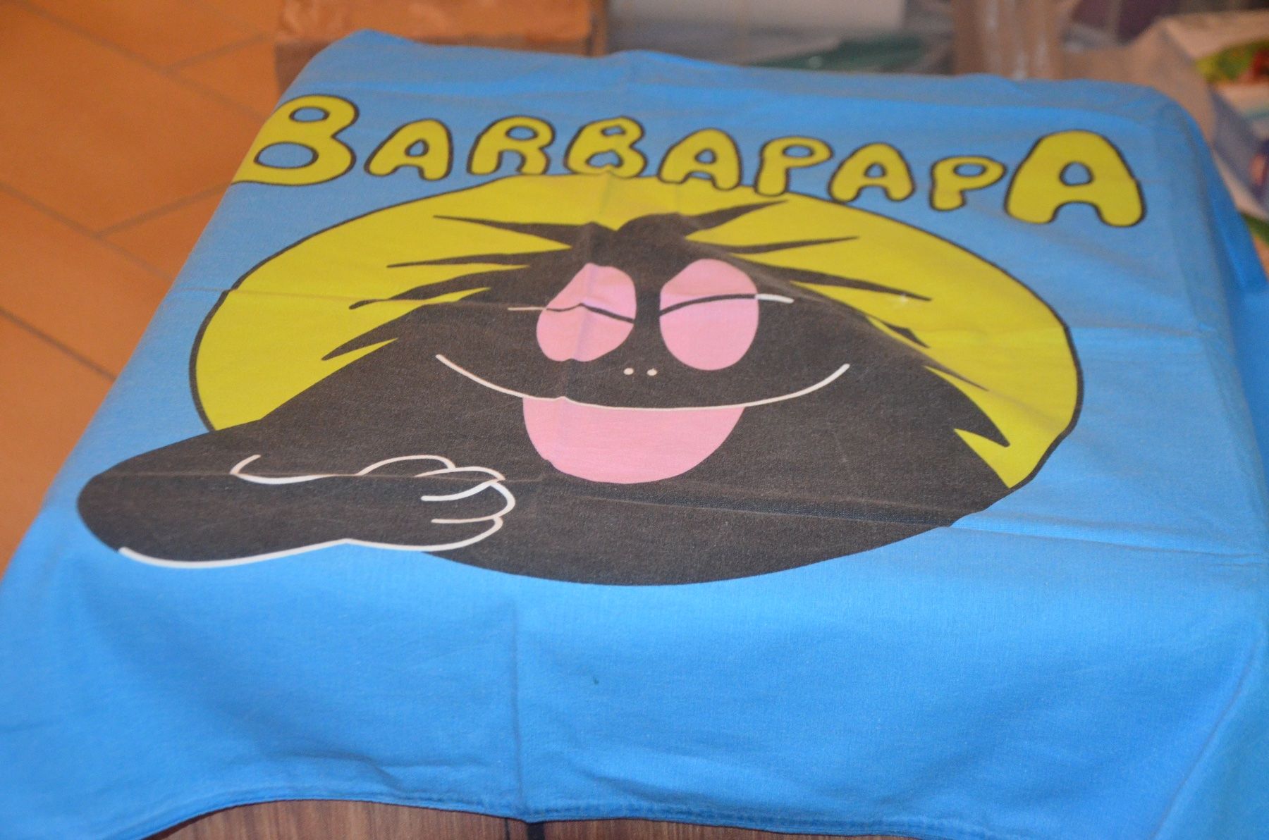 Biancheria da letto: FOURRE COUSSIN BARBAPAPA - CM 100X57 – Usato da Chiasso venduto da Dolly015