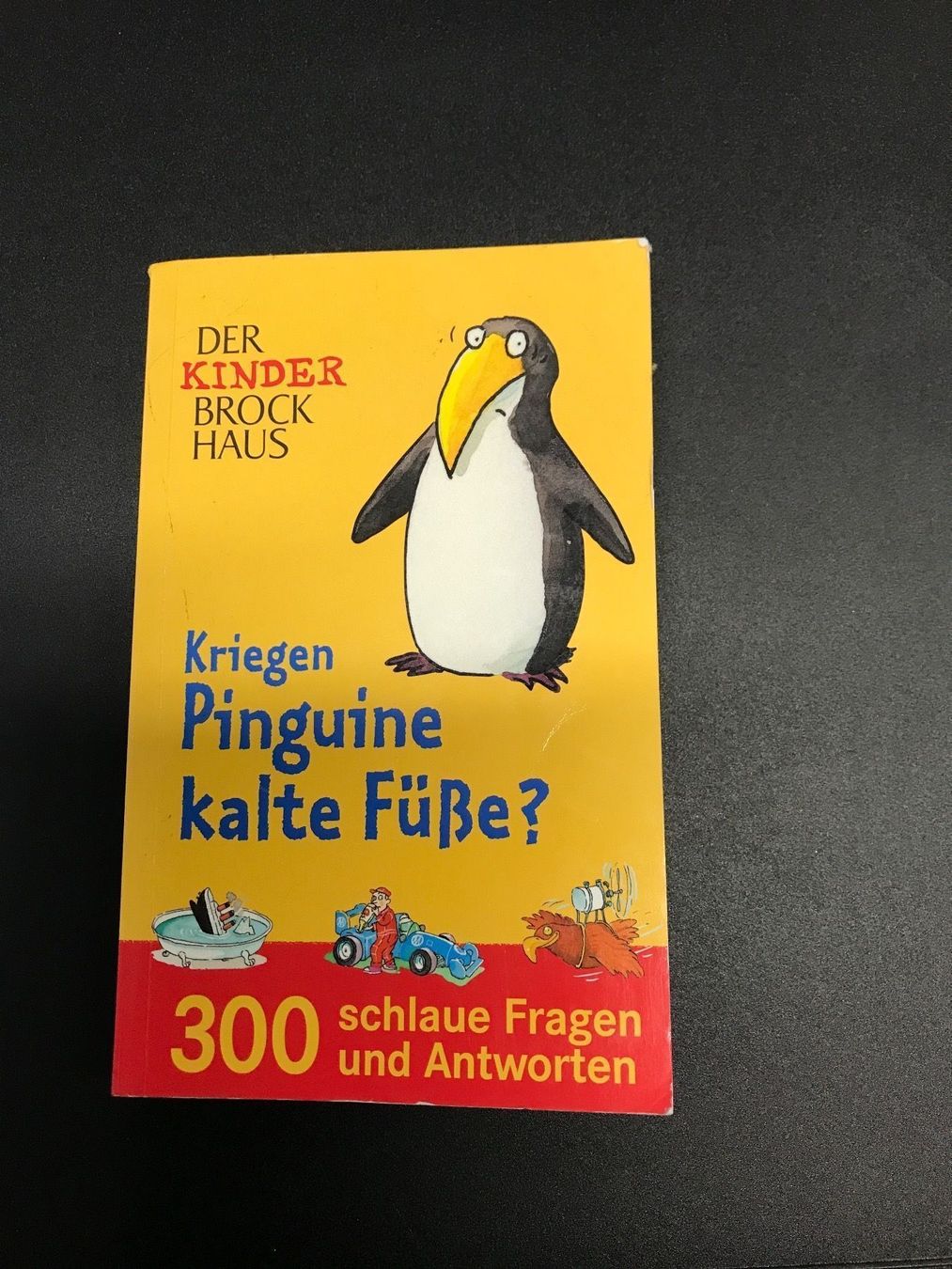 Libri: Kinderbuch Ab 7 Jahren Kinderbrockhaus – Usato da St. Margrethen SG venduto da kellenbh