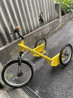 HADI-DOG-Trike, gelb, Top Zustand für Hundeausflüge!