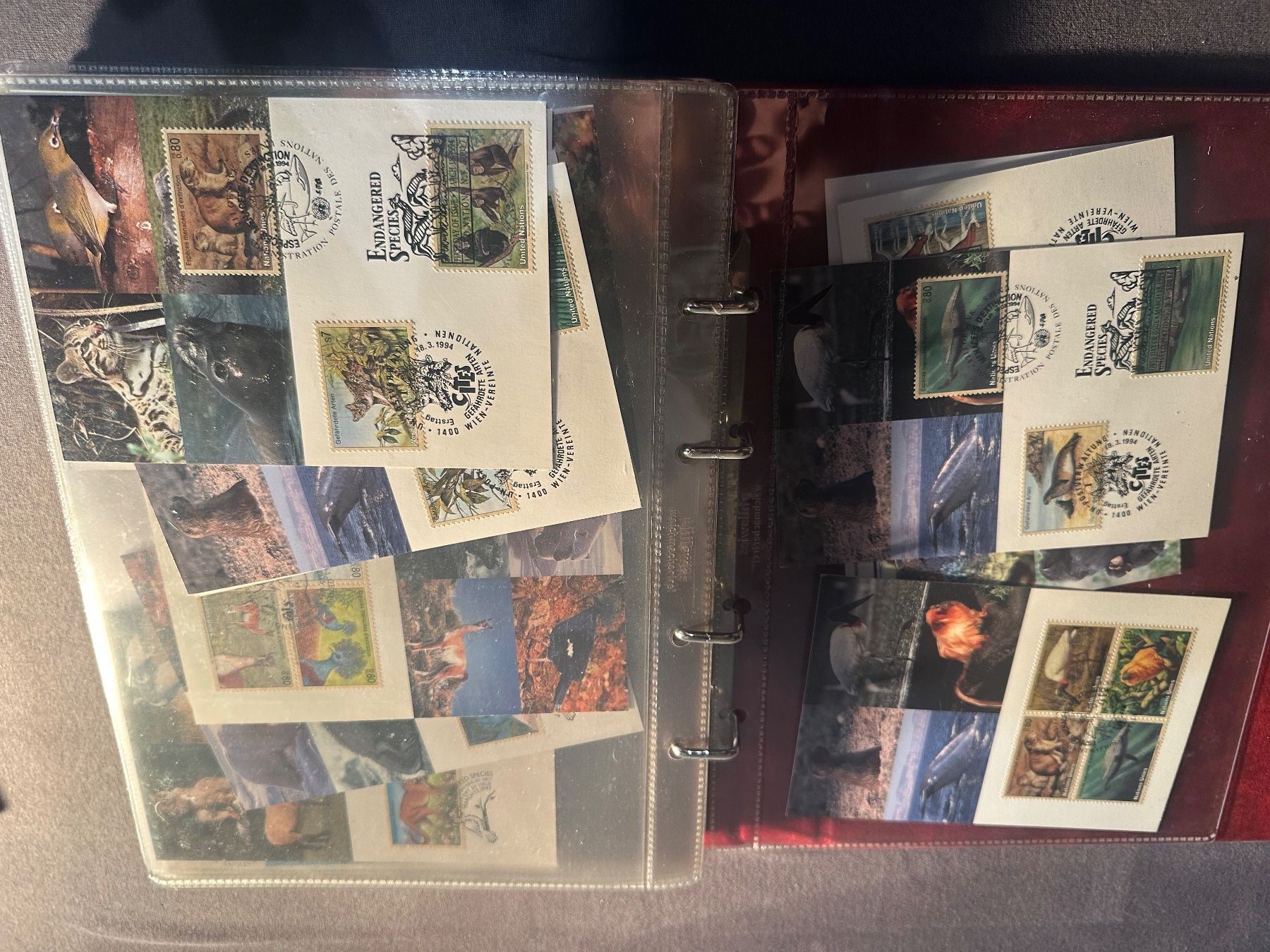 Tutti i francobolli: Sammlung Tiere Weltweit Karten und Schweiz Briefe, FDC – Usato da Stettfurt venduto da 2442 1